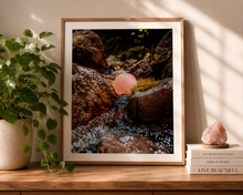 Load image into Gallery viewer, Forest Rose Quartz | Nature Photography Print