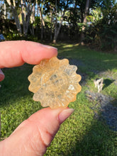 Load image into Gallery viewer, Golden Healer Sunflower