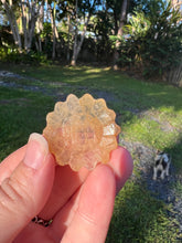 Load image into Gallery viewer, Golden Healer Sunflower