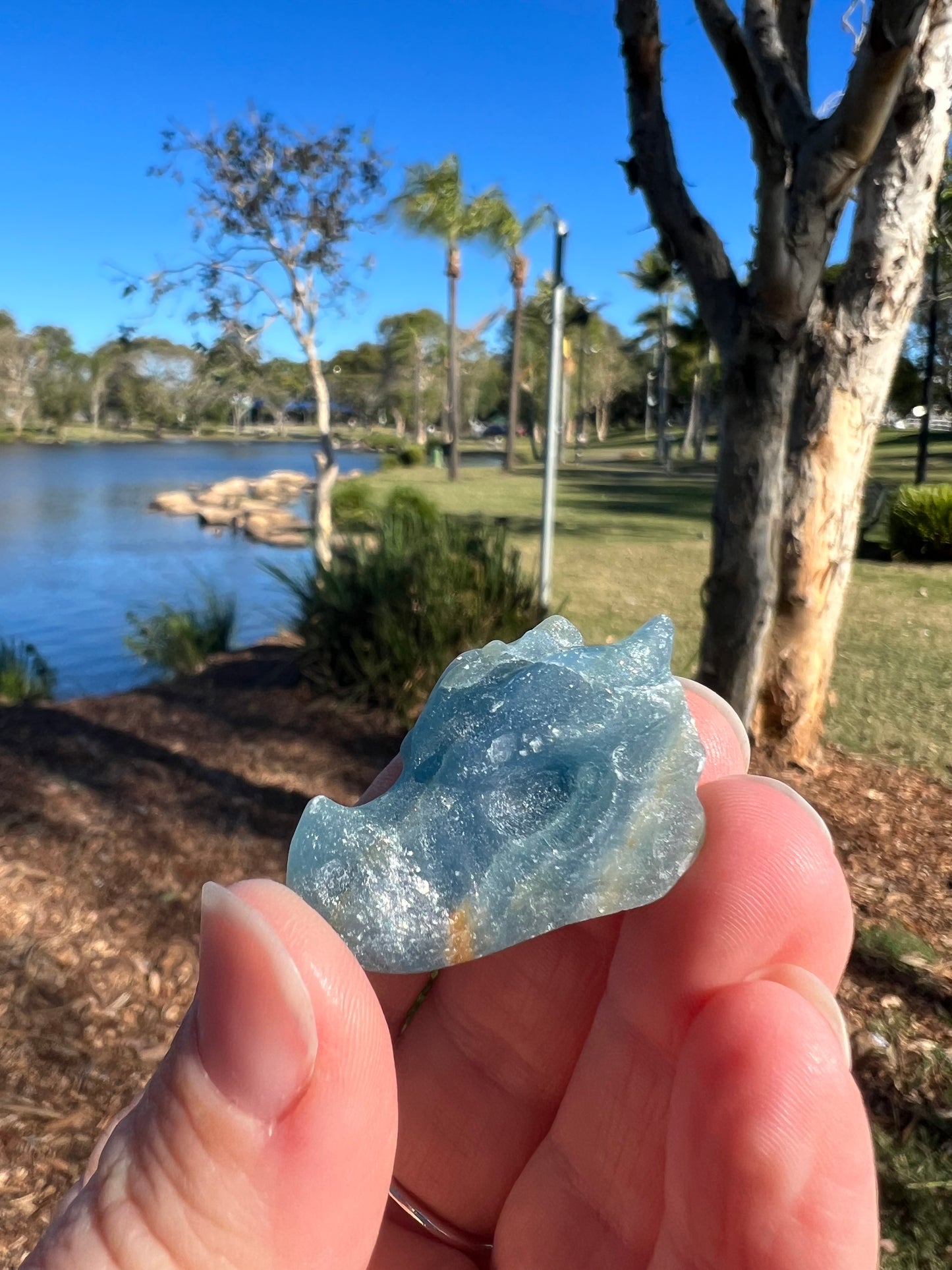 Blue Onyx Dragons Head