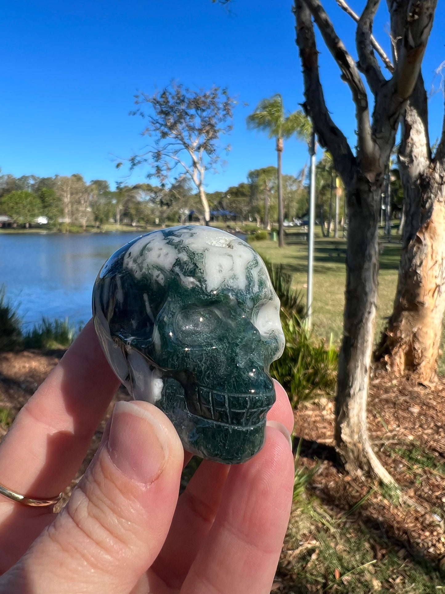 Moss Agate Skull