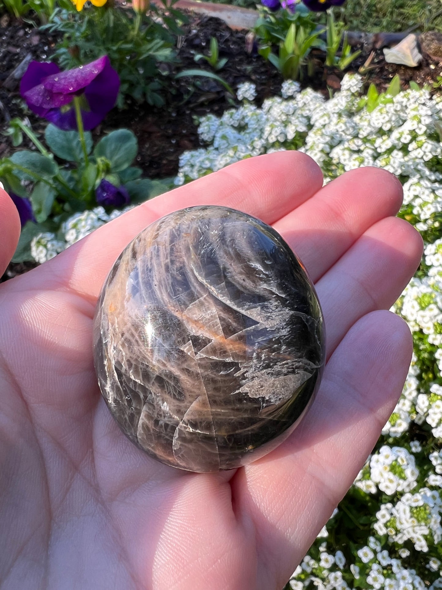 Black Moonstone Palm Stone