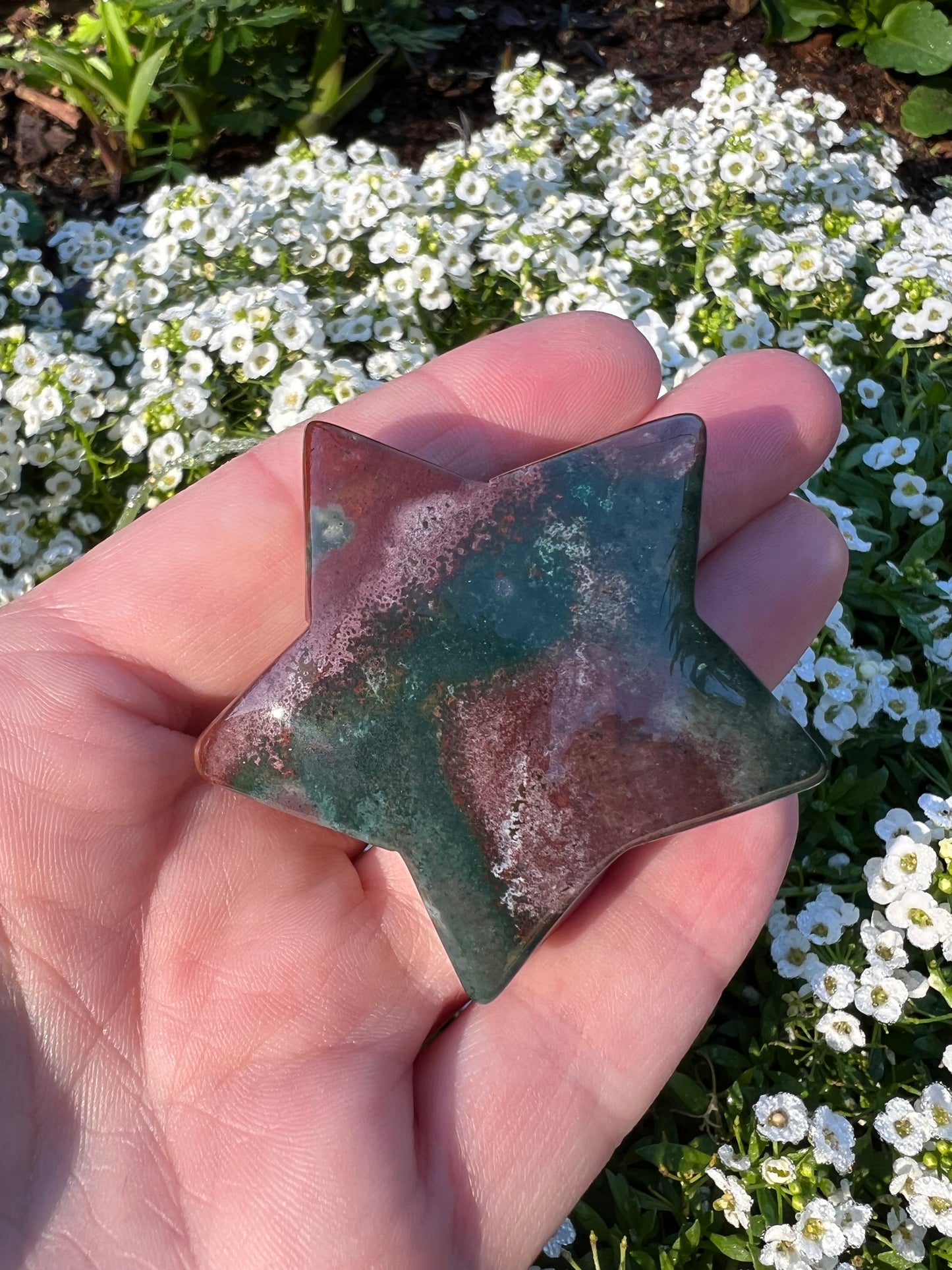 Ocean Jasper Star
