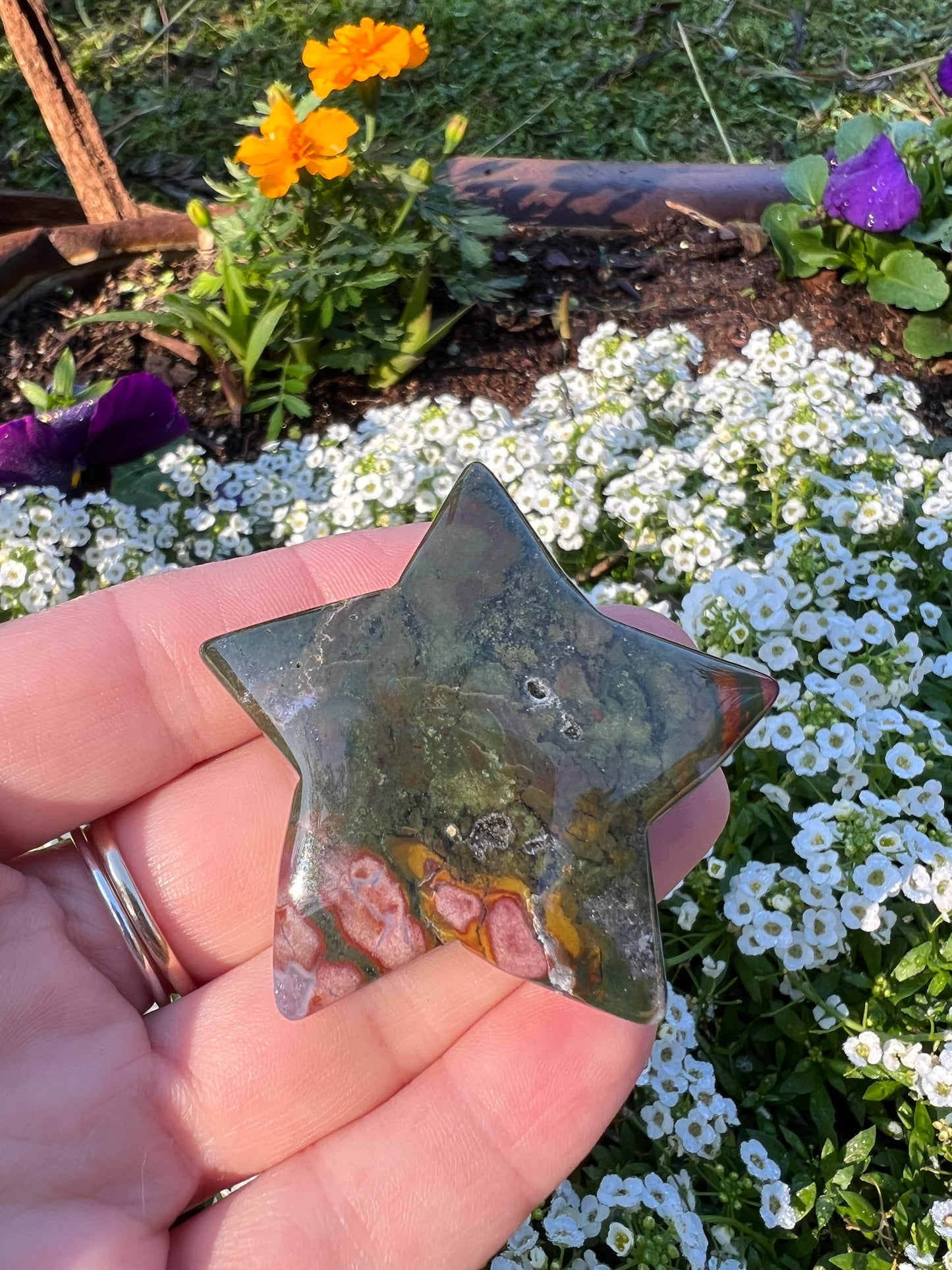 Ocean Jasper Star