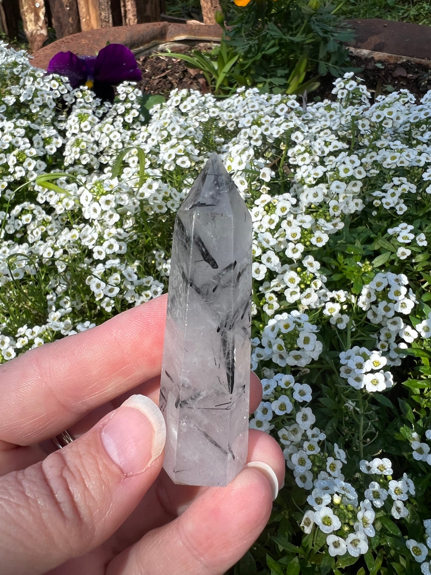 Black Tourmaline in Quartz Tower