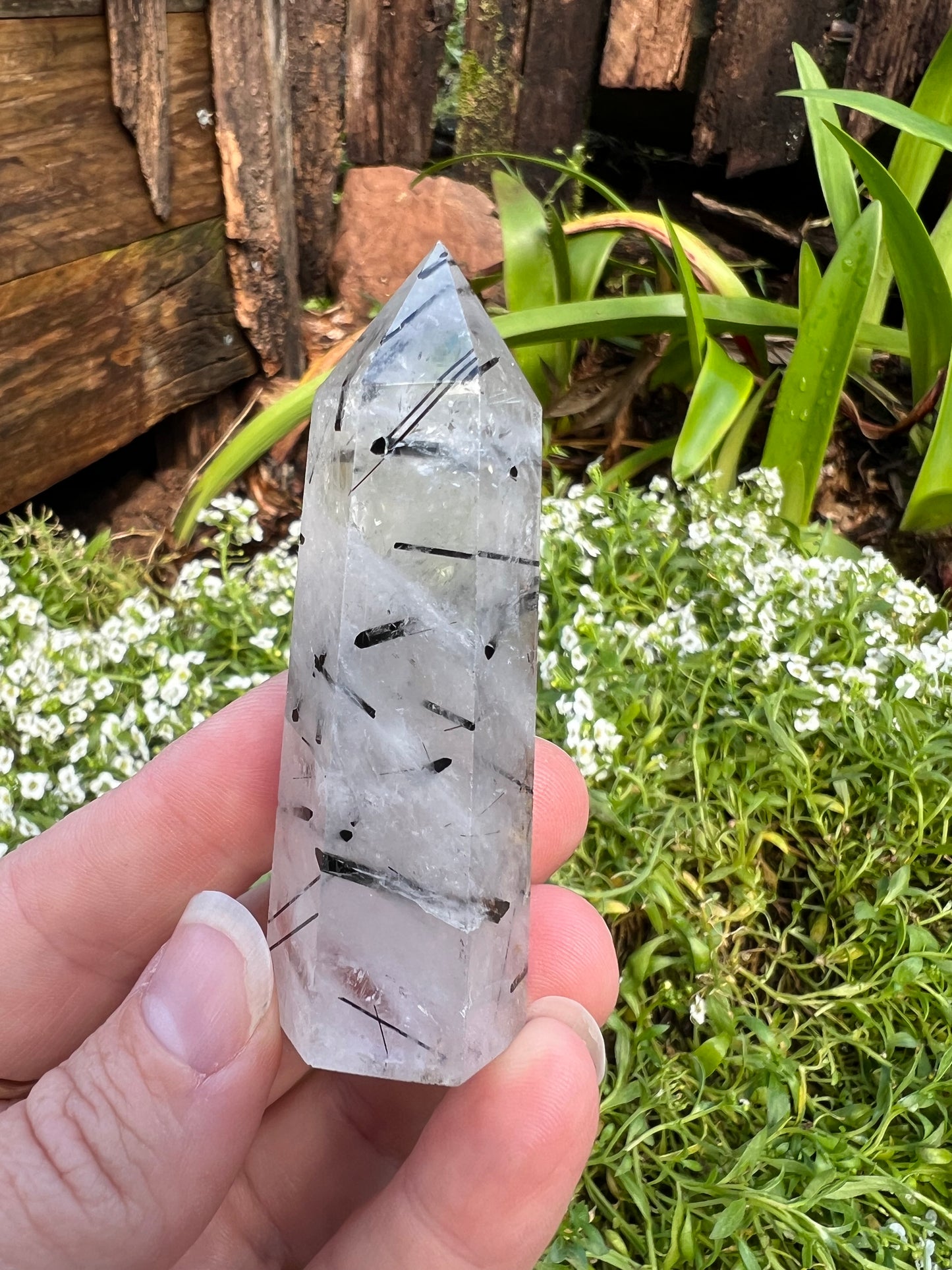 Black Tourmaline in Quartz Tower