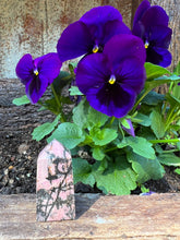 Load image into Gallery viewer, Rhodonite Tower