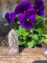 Load image into Gallery viewer, Rhodonite Tower