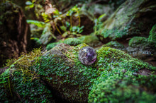 Load image into Gallery viewer, Forest Amethyst | Nature Photography Print