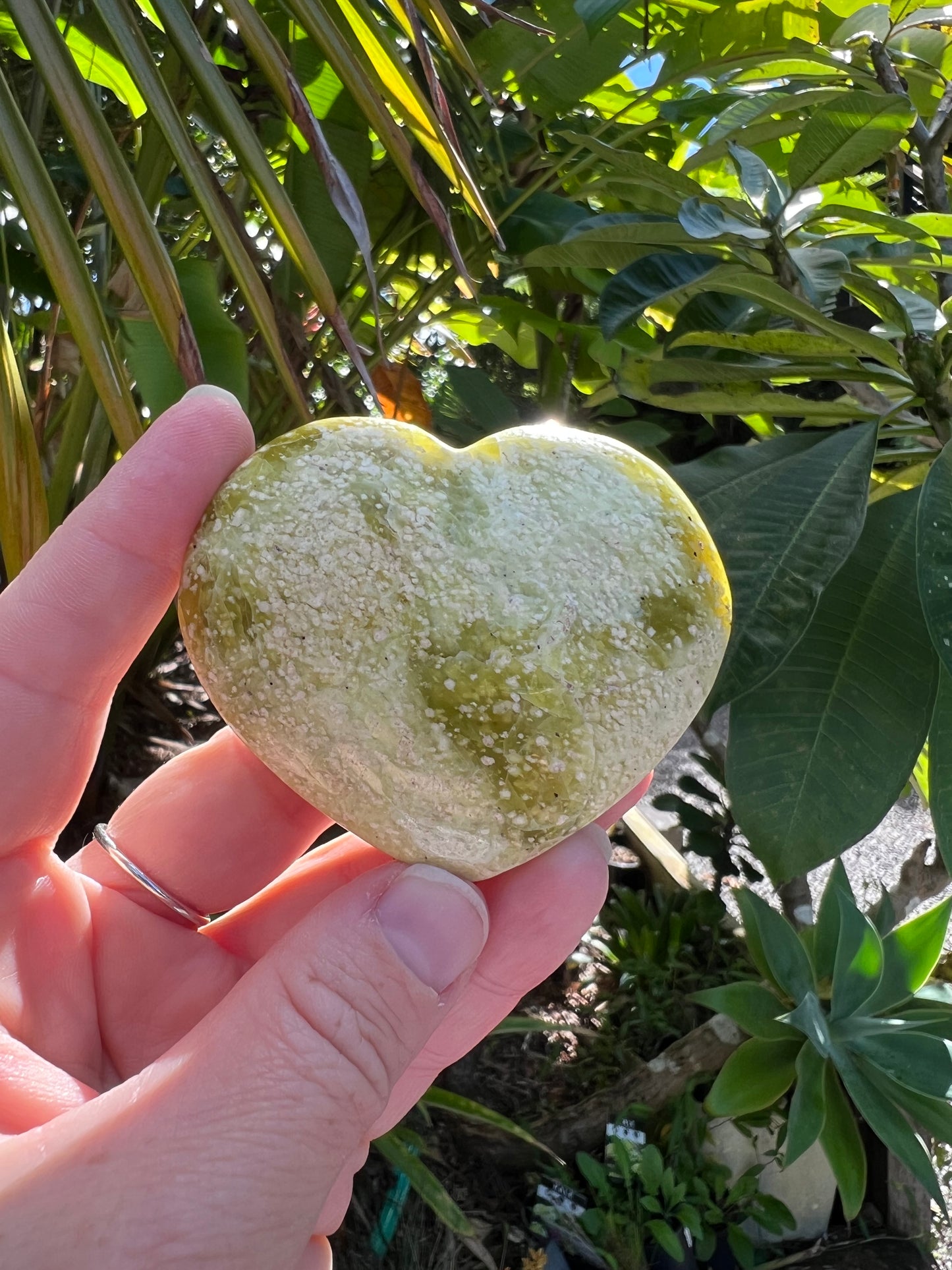 Serpentine Heart