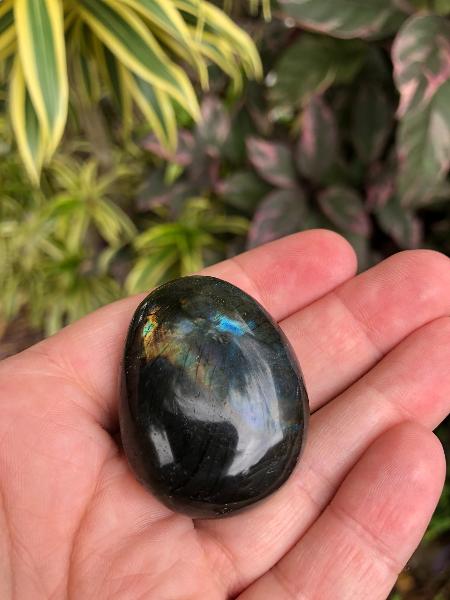 Labradorite Palm Stone