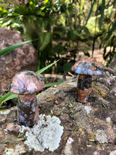 Load image into Gallery viewer, Que Sera Mushroom