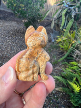 Load image into Gallery viewer, Picture Jasper Cat