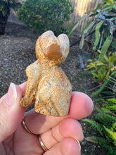 Load image into Gallery viewer, Picture Jasper Cat