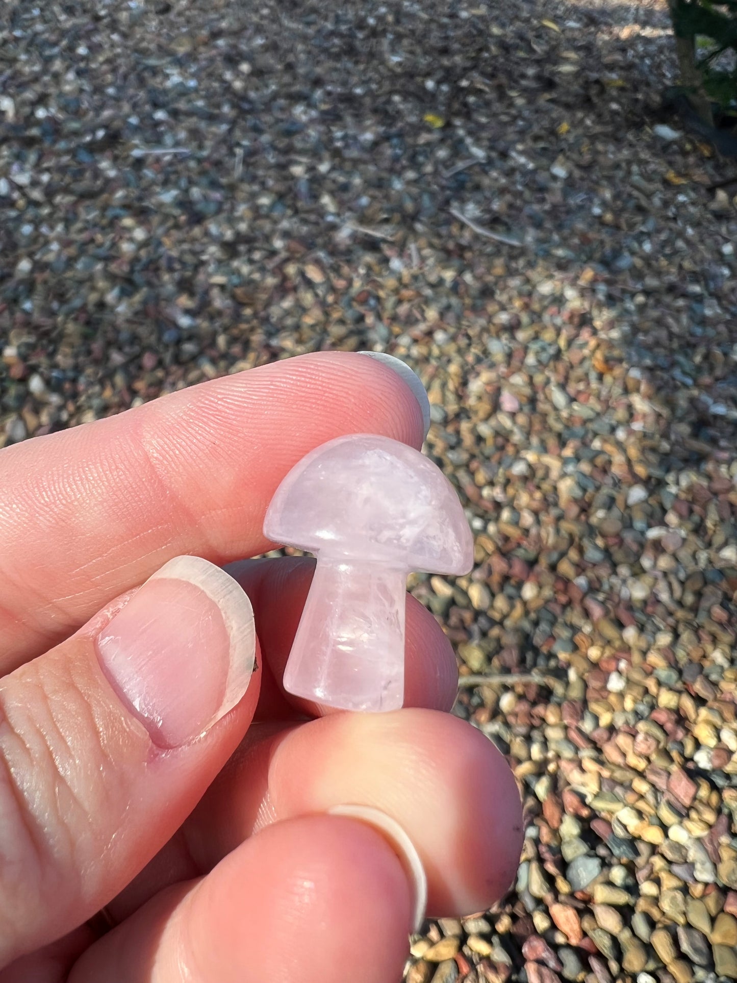 Rose Quartz Mini Mushroom