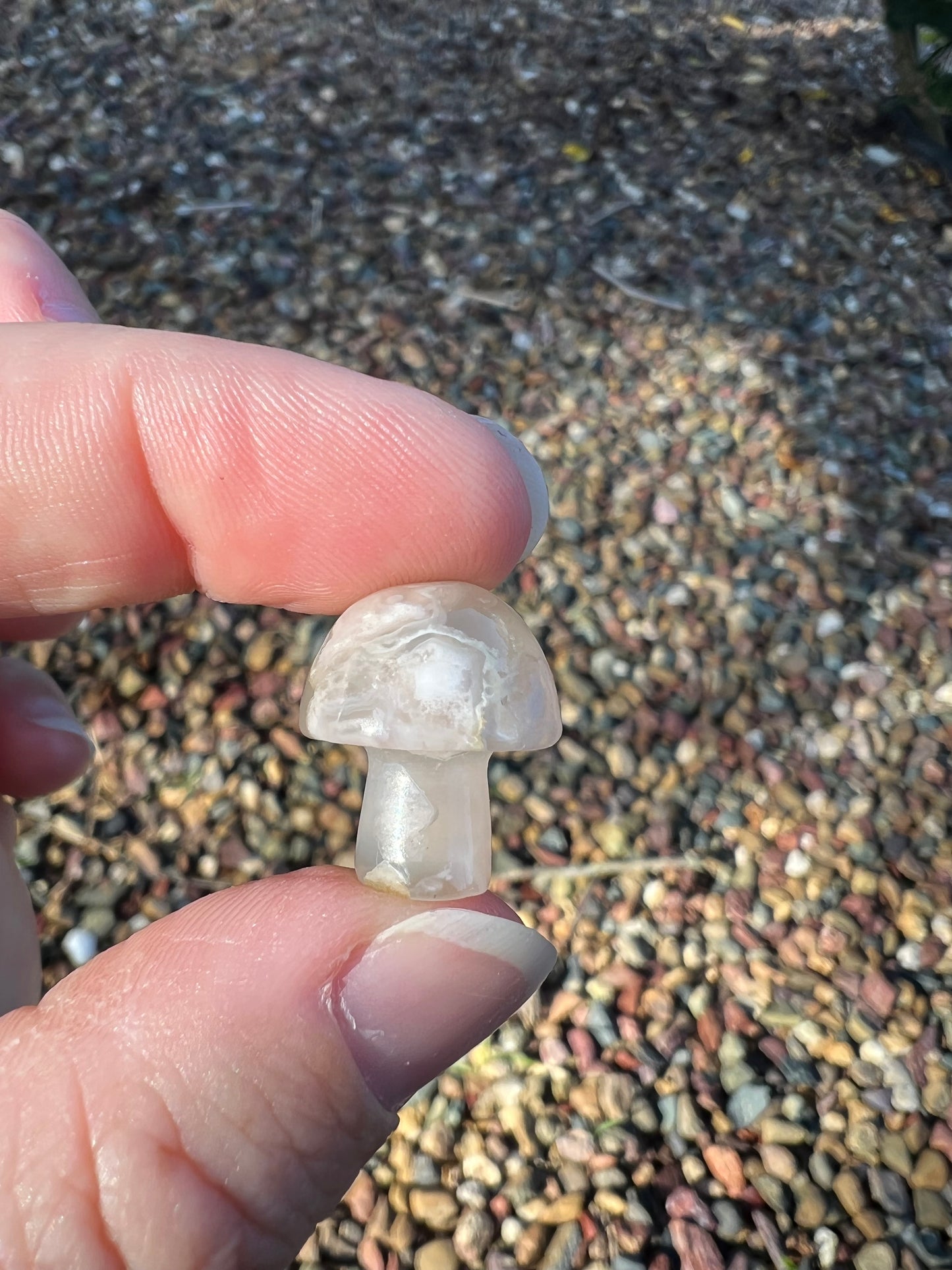 Flower Agate Mini Mushroom