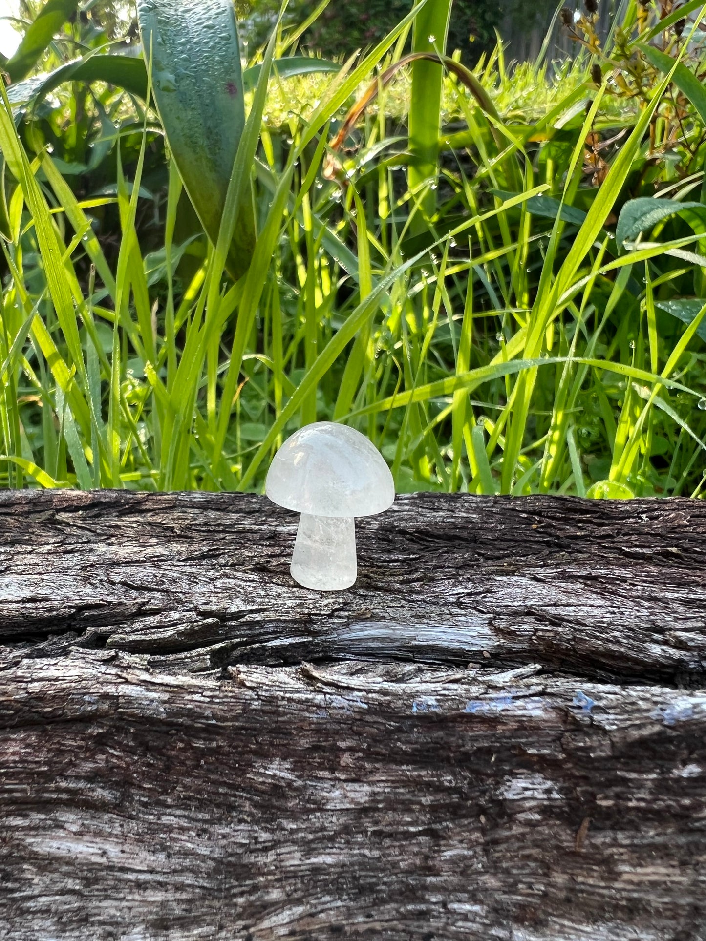 Quartz Mini Mushroom