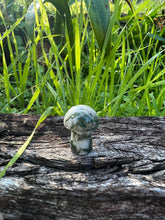 Load image into Gallery viewer, Moss Agate Mini Mushroom