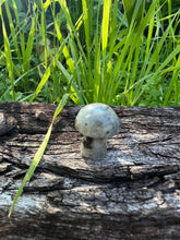 Load image into Gallery viewer, Labradorite Mini Mushroom