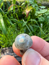 Load image into Gallery viewer, Labradorite Mini Mushroom