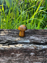 Load image into Gallery viewer, Tiger Eye Mini Mushroom