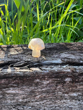 Load image into Gallery viewer, Flower Agate Mini Mushroom