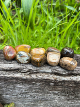 Load image into Gallery viewer, Petrified Wood Tumble