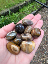 Load image into Gallery viewer, Petrified Wood Tumble