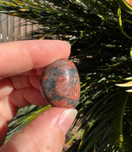 Load image into Gallery viewer, Red Que Sera Tumble