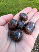 Load image into Gallery viewer, Red Que Sera Tumble