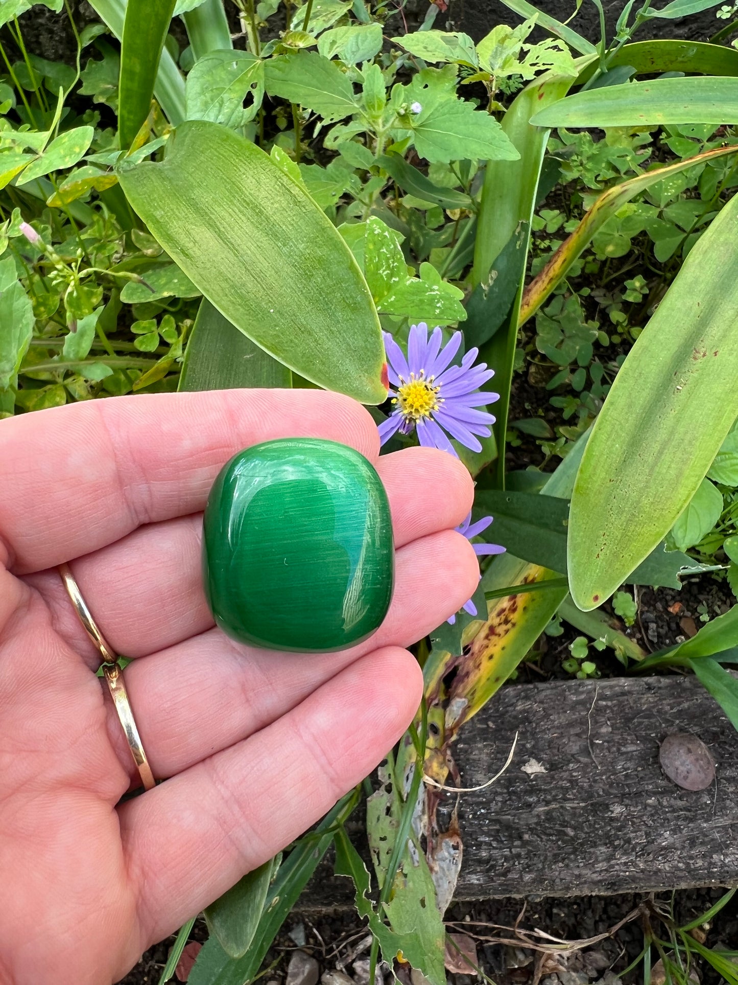 Cat's Eye Tumble