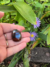 Load image into Gallery viewer, Tiger Iron Tumble