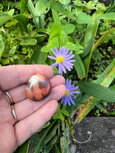 Load image into Gallery viewer, Zebra Rock Tumble