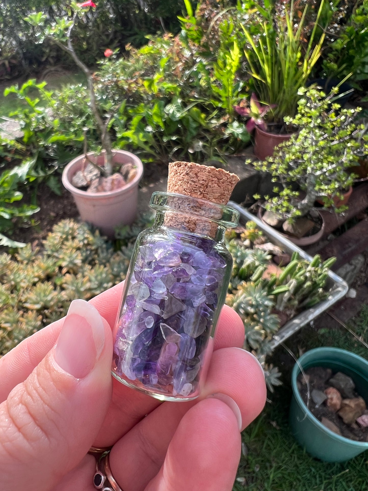Amethyst Wish Bottle