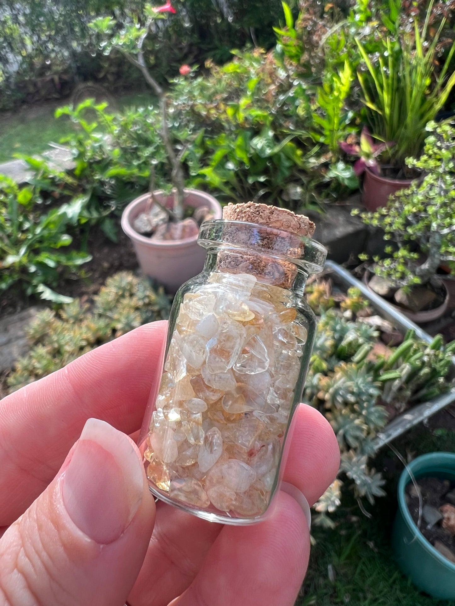 Citrine Wish Bottle