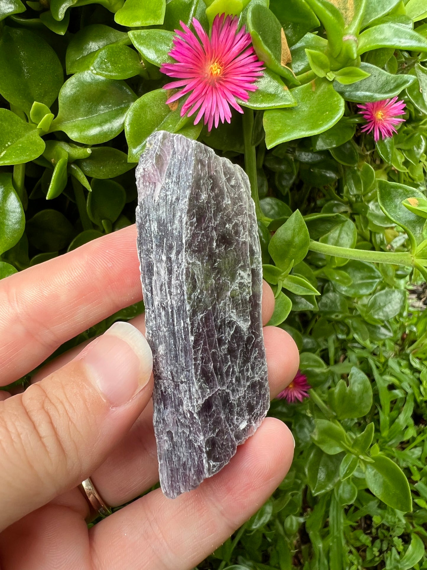 Raw Lepidolite