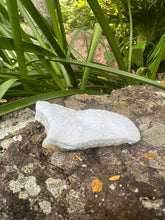 Load image into Gallery viewer, Blue Lace Agate Specimen