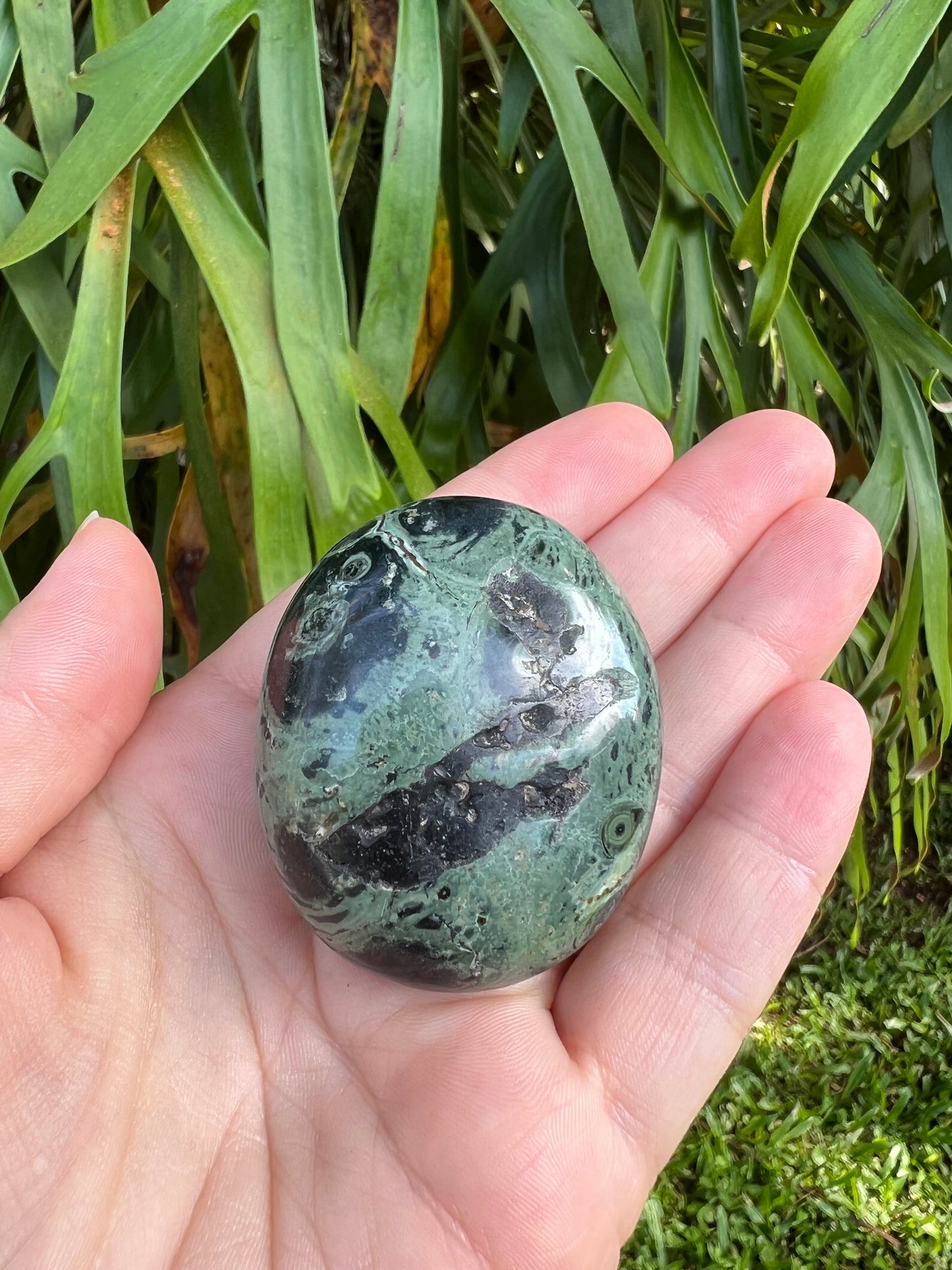 Kambaba Jasper Palm Stone