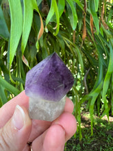 Load image into Gallery viewer, Amethyst Mushroom