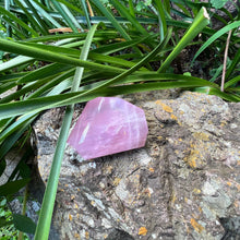 Load image into Gallery viewer, Rose Quartz Free Form