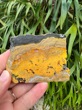 Load image into Gallery viewer, Bumblebee Jasper Slab
