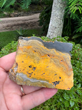 Load image into Gallery viewer, Bumblebee Jasper Slab