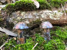 Load image into Gallery viewer, Que Sera Mushroom