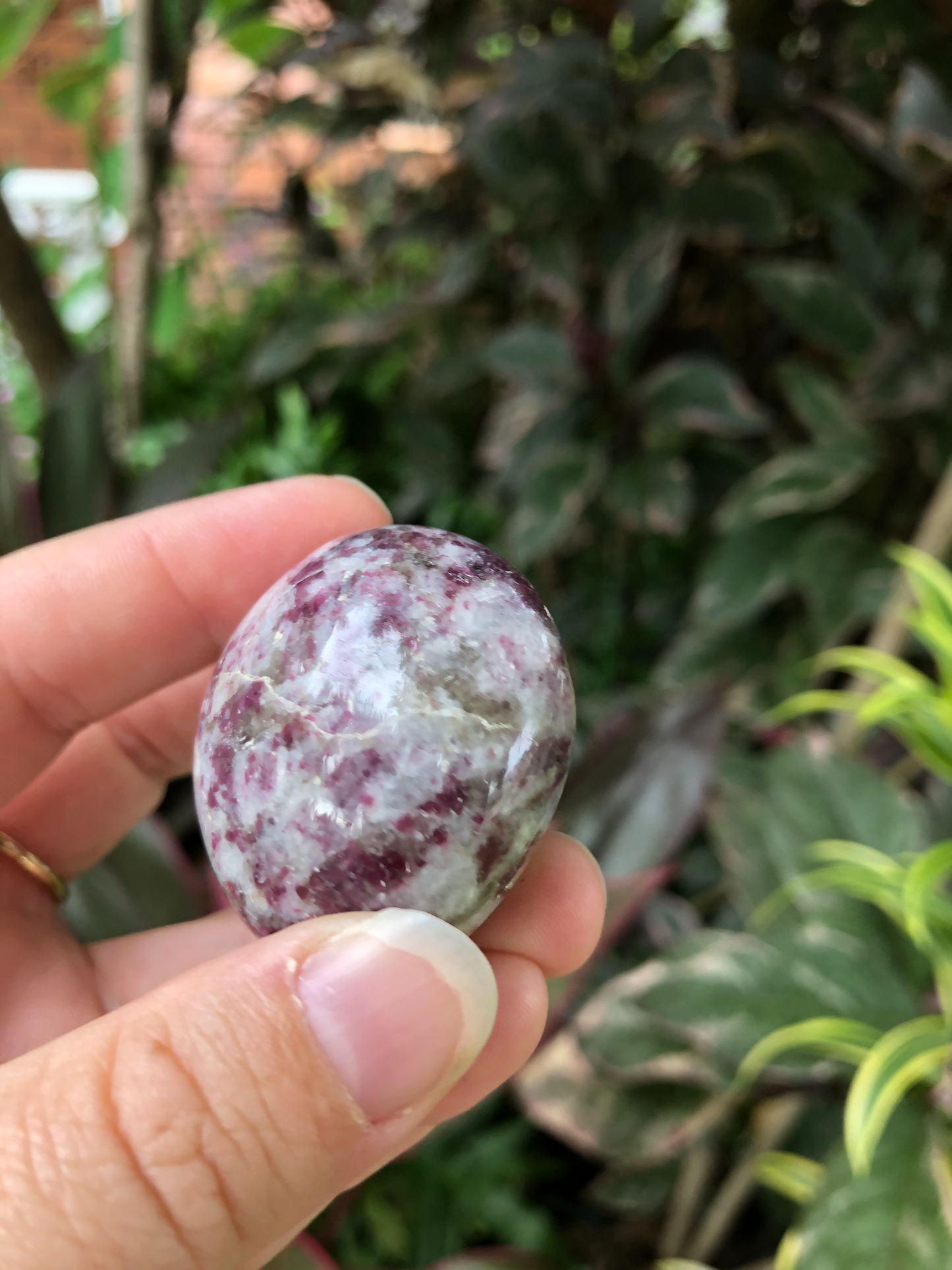 Pink Tourmaline Palm Stone