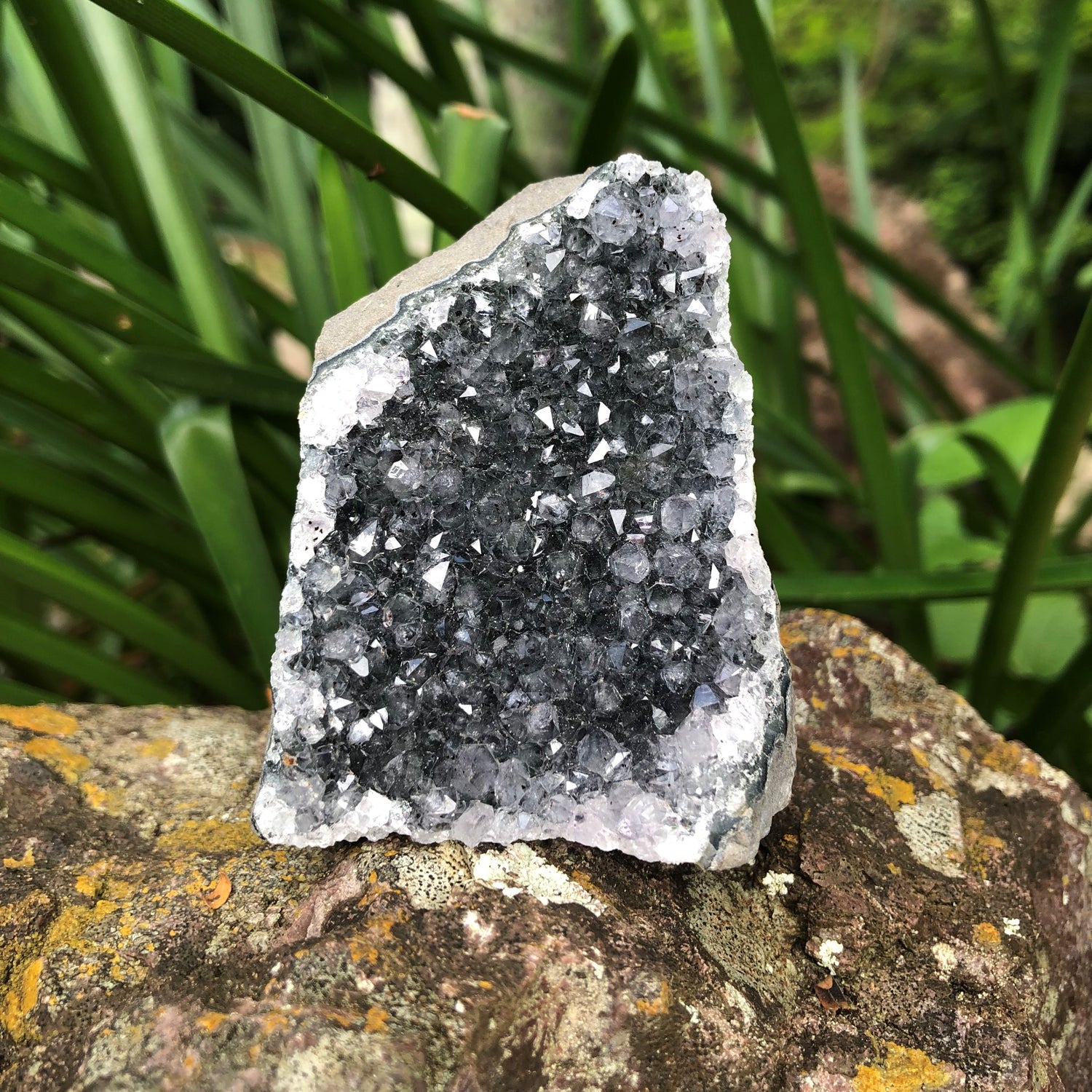 Amethyst Geodes