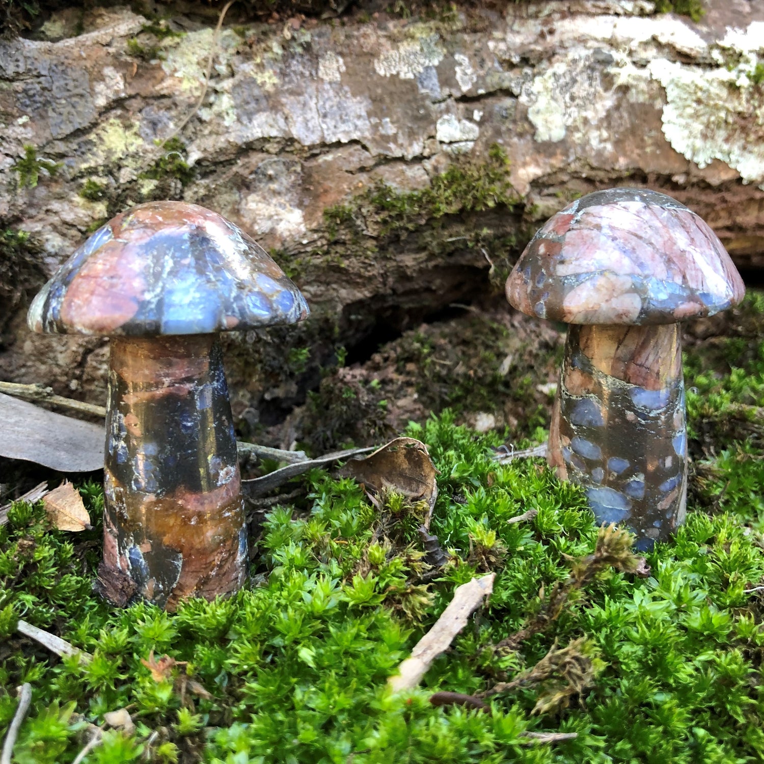Mushrooms