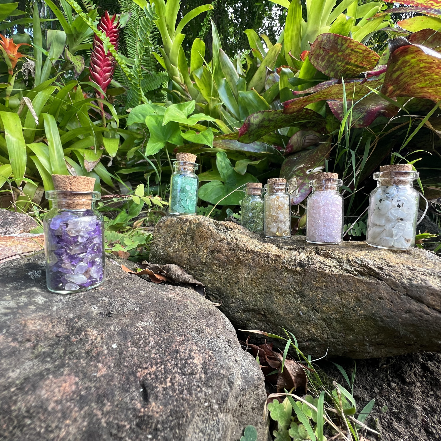 Wish Bottles