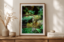 Load image into Gallery viewer, Forest Citrine | Nature Photography Print
