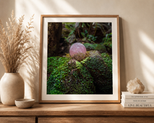 Load image into Gallery viewer, Forest Rose Quartz | Nature Photography Print
