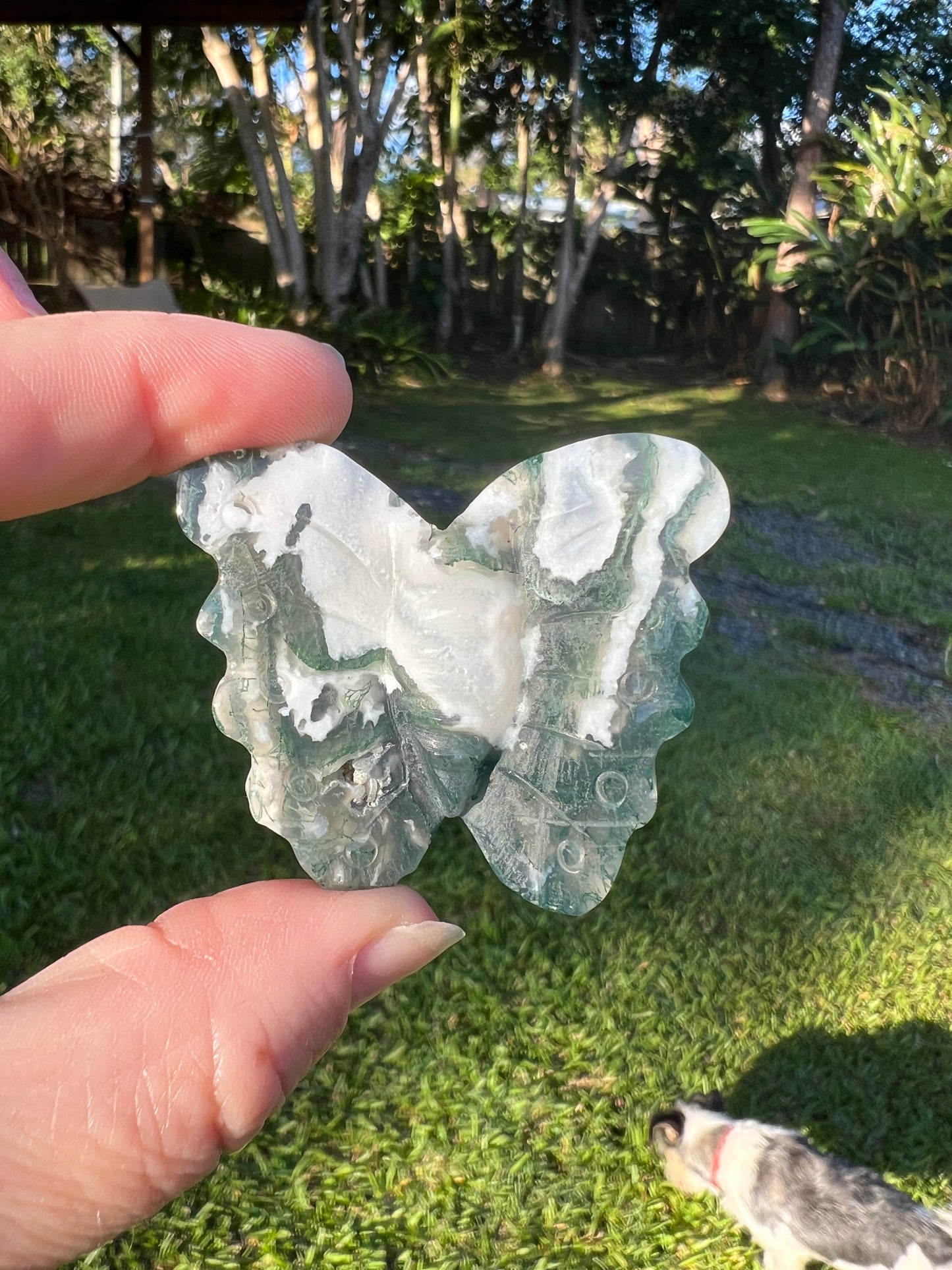 MOSS AGATE BUTTERFLY